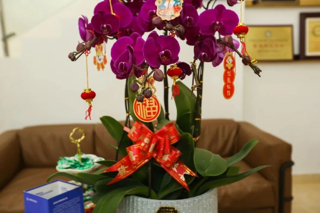 星之聲 | 新開序章，揚帆起航！插圖(2)